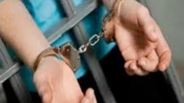 أسلحة توصيل.. حكم ضد مشغل صفحة فيسبوك للترويج لبيع الأسلحة البيضاء