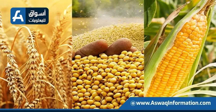 انخفاض عقود القمح والذرة وفول الصويا الأمريكية