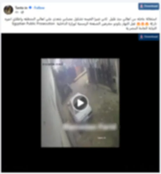 قرار يتعلق بفتاتين وآخرين أطلقوا النار على صاحب متجر في شبرا الخيمة