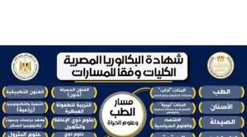 استكشف الكليات المتاحة لمسار «الطب وعلوم الحياة» بنظام البكالوريا.