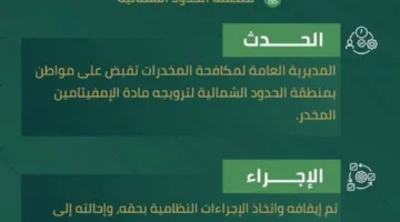 القبض على شخص في الحدود الشمالية بتهمة ترويج مادة الإمفيتامين المخدرة