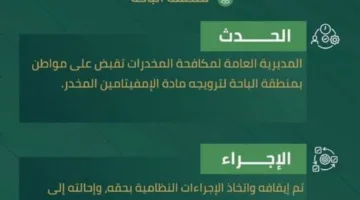 القبض على شخص في الباحة بتهمة ترويج الأمفيتامين المخدر.
