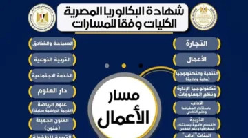 اكتشف الكليات المتوفرة لطلبة مسار “إدارة الأعمال” في شهادة الثانوية المصرية