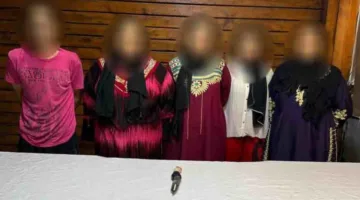 عاجل.. تفاصيل اعتداء بعض السيدات على فتاة في القليوبية عقب انتشار فيديو.