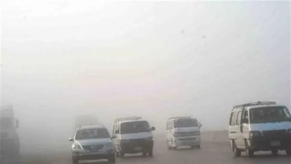 الأرصاد الجوية تنبه من وجود ضباب كثيف على الطرق الزراعية والسريعة الأرصاد الجوية تنبه من وجود ضباب كثيف على الطرق الزراعية والسريعة