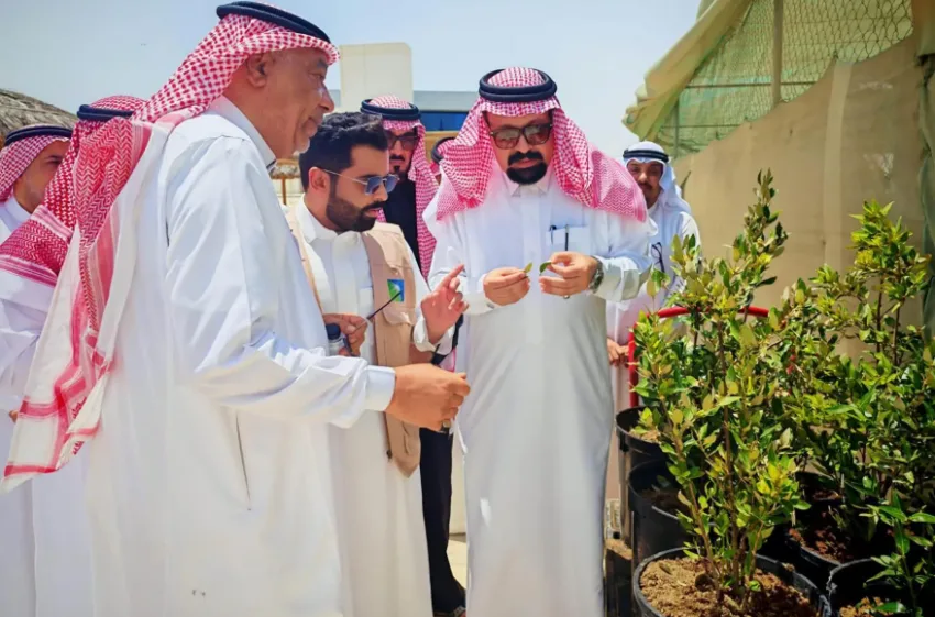 بيئة القطيف تحتفل باليوم العالمي لأشجار المانجروف