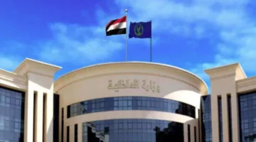 مصدر أمني: تسجيل فيديو يظهر احتجاز ضابط في قسم شرطة القاهرة مزيف.