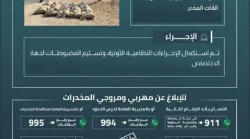 حرس الحدود في جازان ينجح في إحباط تهريب 380 كيلوغرامًا من القات المخدر