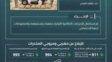 إلقاء القبض على شخصين في عسير بتهمة تهريب 120 كيلوغرامًا من المخدرات القات