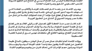 هجوم علني ومدبر.. نكشف سر تشويه الدور المصري في دعم الفلسطينيين