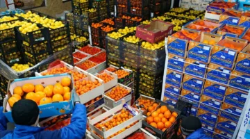 مصر تحقق صادرات بقيمة 13 مليار دولار في 90 يومًا: زيادة بنسبة 34% في الربع الأول من 2025 | التفاصيل