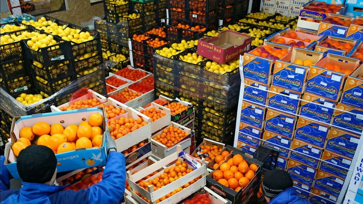 مصر تحقق صادرات بقيمة 13 مليار دولار في 90 يومًا: زيادة بنسبة 34% في الربع الأول من 2025 | التفاصيل مصر تحقق صادرات بقيمة 13 مليار دولار في 90 يومًا: زيادة بنسبة 34% في الربع الأول من 2025 | التفاصيل