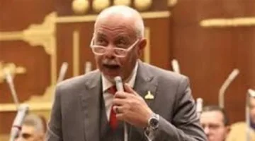حازم الجندي: “فيديوهات الإخوان المزورة هي محاولة فاشلة لزعزعة استقرار مصر”