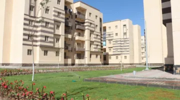 تحالف الشمول المالي “AFI” ينشر تقريرًا عن المبادرة الرئاسية “سكن لكل المصريين”