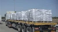 مصدر من مصر: وصول 117 شاحنة إغاثة إلى قطاع غزة أمس