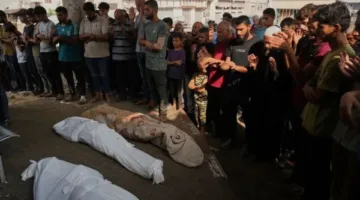 بسبب نيران جيش الاحتلال.. استشهاد 25 فلسطينيًا أثناء سعيهم للحصول على مساعدات