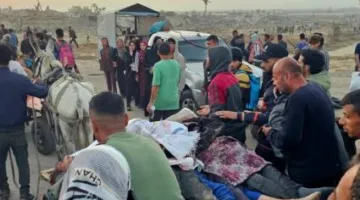 وزارة الصحة في غزة: عدد الشهداء نتيجة الإبادة الإسرائيلية يصل إلى 59,733