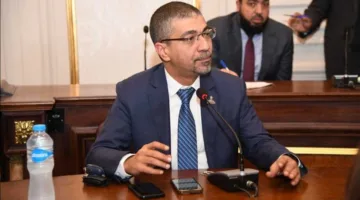 صحة الشيوخ: جهود القاهرة الداعمة لفلسطين معترف بها من الجميع باستثناء من تخلى عن ضميره.