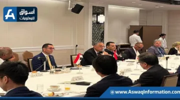 مصر واليابان: فرص الشراكة في قطاعات الطاقة، الغذاء، والصناعة