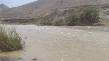أمطار تهطل على محافظة الظاهرة