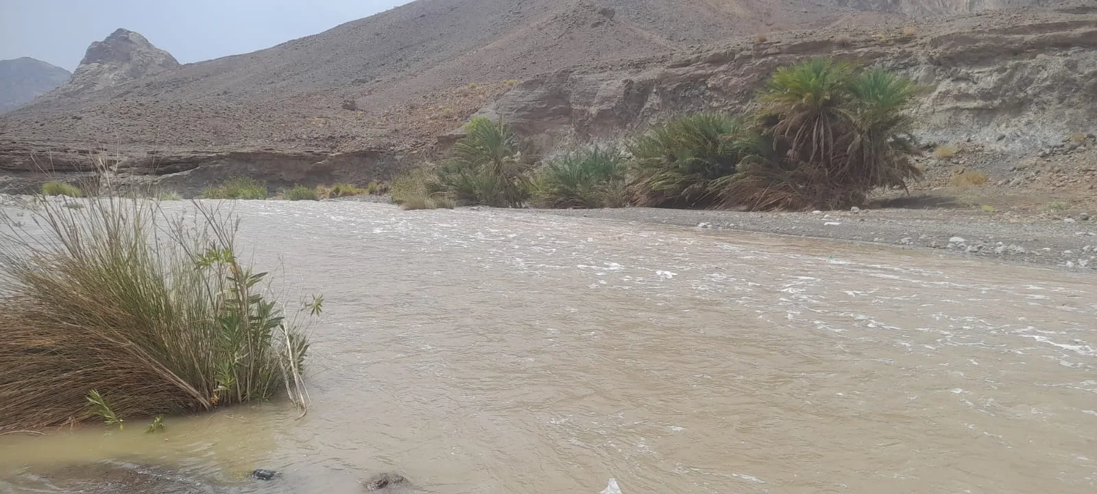 أمطار تهطل على محافظة الظاهرة أمطار تهطل على محافظة الظاهرة