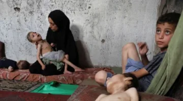 خبير إسرائيلي: تواصل الهجمات على غزة والمأساة الإنسانية تعمق عزل إسرائيل دولياً واعتراف الدول الغربية بفلسطين هو استجابة للعدوان الإسرائيلي.