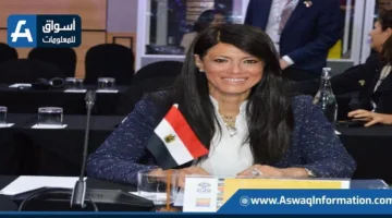 وزيرة التخطيط: مصر تمكنت من جمع 15.6 مليار دولار لدعم تمويل القطاع الخاص من الشركاء الدوليين.