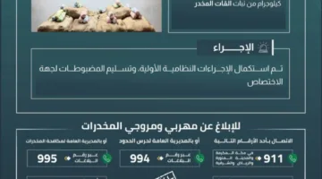 حرس الحدود في جازان ينجح في thwarting تهريب 200 كيلوغرام من مخدر القات.
