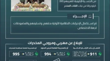 شرطة الحدود في عسير تلقي القبض على أربعة مهربين بحوزتهم 60 كيلوغرامًا من نبات القات المخدر.