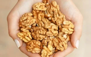 مغذي أساسي مع تقدم السن.. يعزز صحة المخ