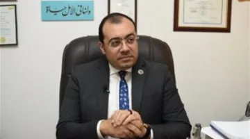 الأحزاب السياسية والجهات المؤثرة ترفض دعوات التظاهر أمام السفارات المصرية.. متحدث “حماة الوطن” يوضح الأمر