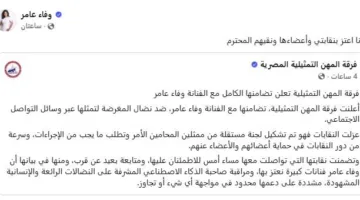 «بعد مساندتها خلال محنتها الأخيرة».. وفاء عامر تتقدم بالشكر إلى نقابة المهن التمثيلية.