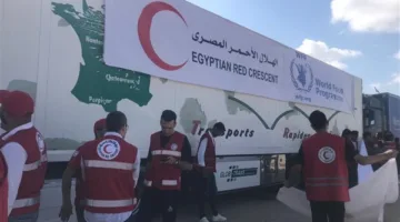 مصادر: الهلال الأحمر المصري يطلق حملة إغاثية لمساندة سكان غزة بدءًا من صباح الغد