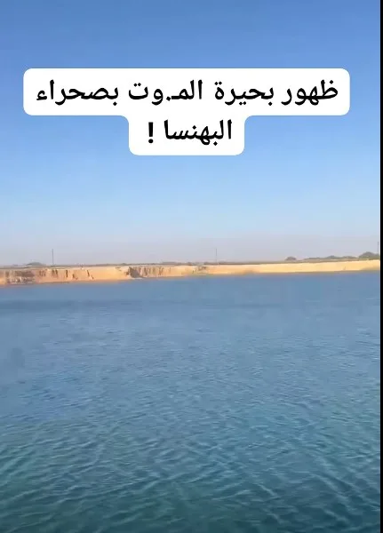 عاجل | “بحيرة الموت” تثير الفزع في البهنسا.. خبراء المياه يوضحون الحقيقة عاجل | “بحيرة الموت” تثير الفزع في البهنسا.. خبراء المياه يوضحون الحقيقة