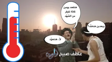توقعات الطقس ليوم غد: أمطار ورياح مثيرة للغبار.. ودرجات الحرارة في الجنوب تصل إلى 46 درجة في الظل.