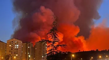 تركيا: حرائق الغابات ت jeopardize الأحياء السكنية في بورصة