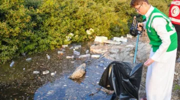سواحل الخليج تزدهر احتفالاً بيوم المانجروف العالمي في سيهات