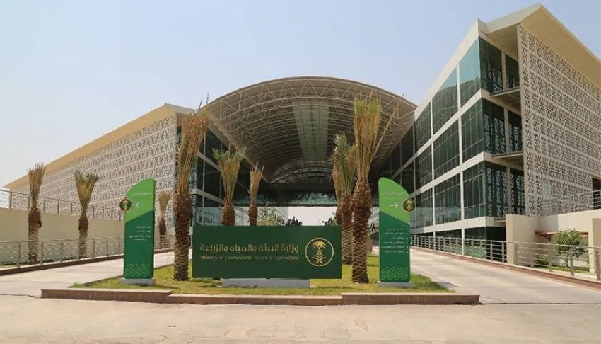 تحليل صعوبات التسويق في القطاع الزراعي تحليل صعوبات التسويق في القطاع الزراعي