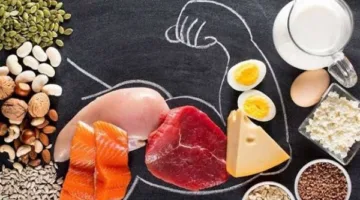 ما الذي يحدث للجسم عند انخفاض استهلاك البروتين؟