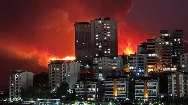 حرائق الغابات ت jeopardize المناطق السكنية في محافظة بورصة التركية (فيديو) حرائق الغابات ت jeopardize المناطق السكنية في محافظة بورصة التركية (فيديو)