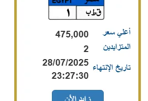 “لقب مميز – 1”: سيارة فريدة بسعر يصل إلى 475 ألف جنيه