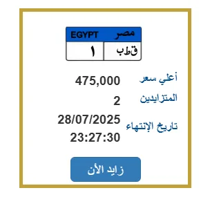 “لقب مميز – 1”: سيارة فريدة بسعر يصل إلى 475 ألف جنيه