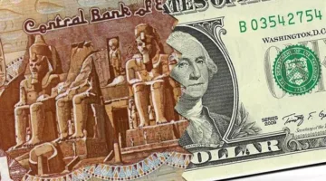 تحركات شاملة.. اكتشف ما قامت به الحكومة لتحسين قيمة الجنيه المصري مقابل الدولار.