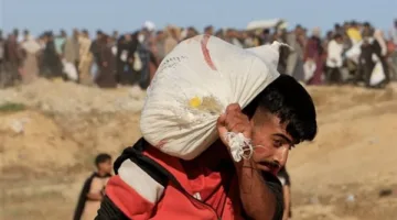عاجل.. مدير الشؤون الأهلية في غزة: تلقينا إشعارًا بدخول مساعدات برية اليوم من العريش.