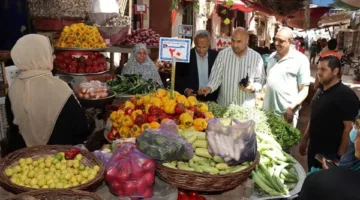 عاجل.. انخفاض أسعار المنتجات وافتتاح فرع جديد لمبادرة أسواق اليوم الواحد في الجمالية