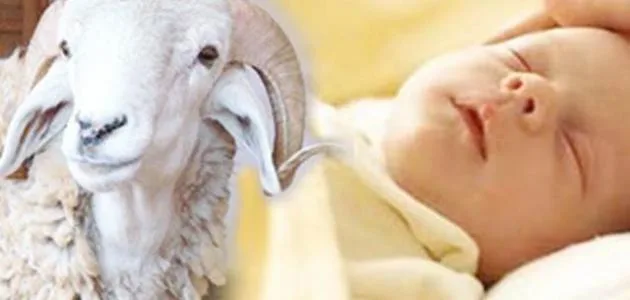 مرّت سنوات ولم أستطع إقامة عقيقة لأبنائي، فهل أستحق الإثم؟ ردّ الإفتاء على السؤال.