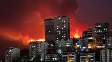 تركيا تقوم بإخلاء آلاف السكان من بورصا نتيجة حرائق الغابات (فيديوهات)