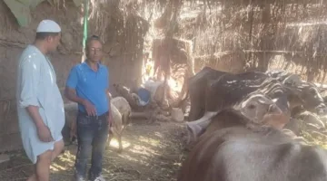 تشديد الرقابة على تراخيص أنشطة الثروة الحيوانية في المنوفية