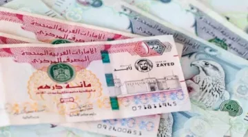 عاجل | سعر صرف الدرهم الإماراتي مقابل الجنيه المصري اليوم الأحد 27 يوليو 2025