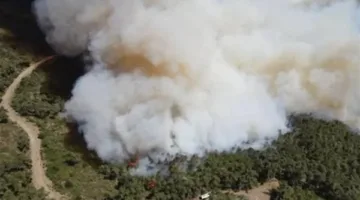 اندلاع حريق غابات كبير آخر في تركيا مع استمرار ارتفاع الحرارة